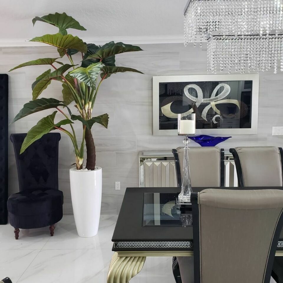 rojo Prince Alocasia en Dax L brillante blanco en el macetero