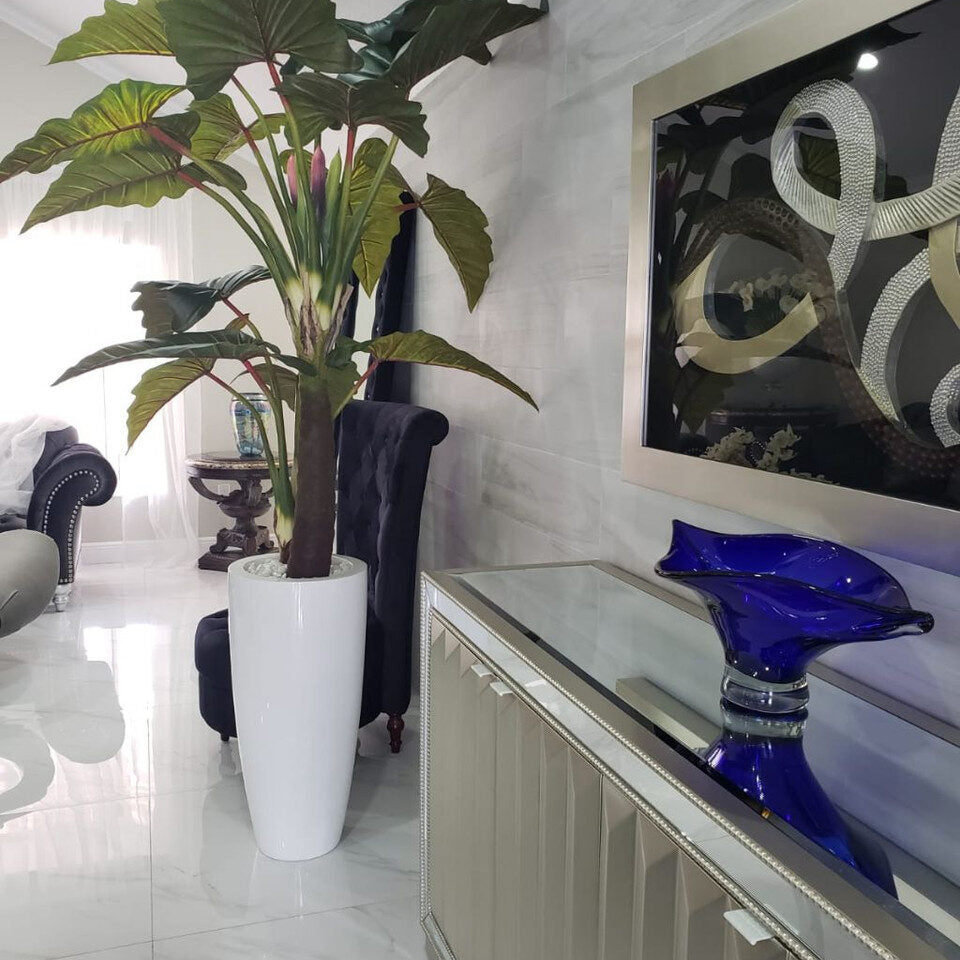 rojo Prince Alocasia en Dax L brillante blanco en el macetero
