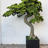 Bonsai planta artificial