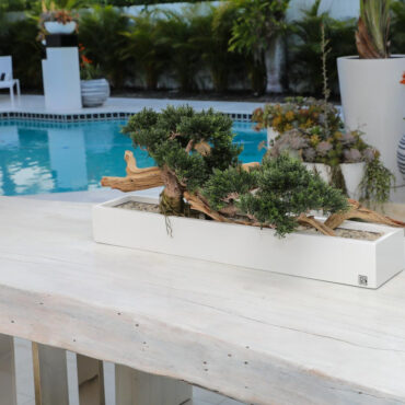 Bonsai planta artificial