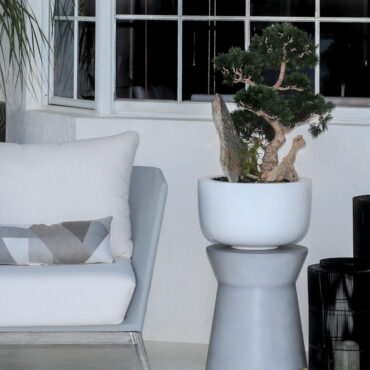 Bonsai planta artificial