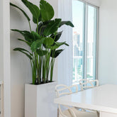 Jort Slim Mittel macetero en brillante blanco Paradiesvogelblume