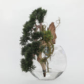 Bonsai planta artificial