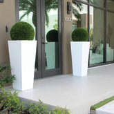 Groß Beau fibra de vidrio jarrón Topiary