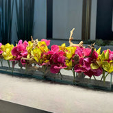Rosa Vandas y Grün Cymbidiums en el Casa Moderna vidrio macetero