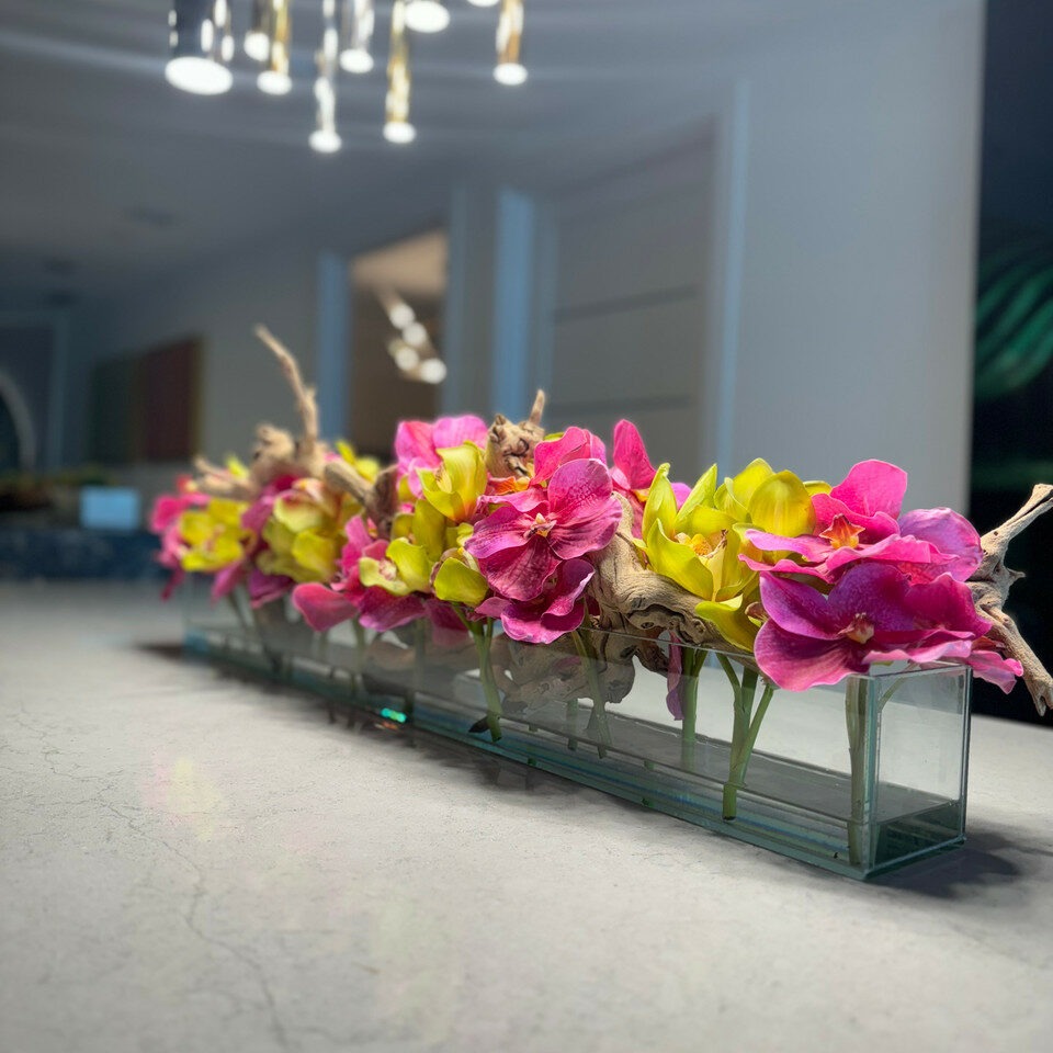 Rosa Vandas y Grün Cymbidiums en el Casa Moderna vidrio macetero