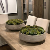 Sukkulente planta artificial