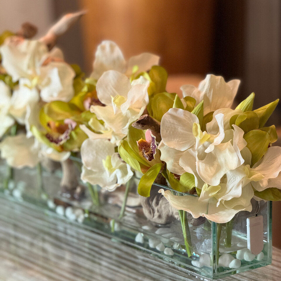 blanco Vandas y Grün Cymbidiums en el Casa Moderna