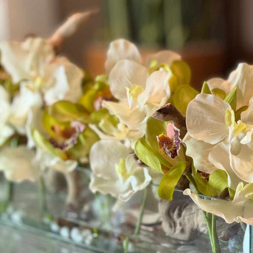 blanco Vandas y Grün Cymbidiums en el Casa Moderna