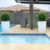 Topiary Ben L fibra de vidrio