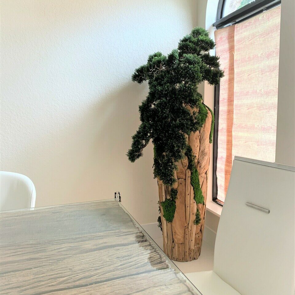 Bonsai planta artificial