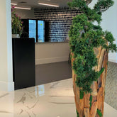 Bonsai planta artificial