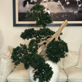 Bonsai planta artificial