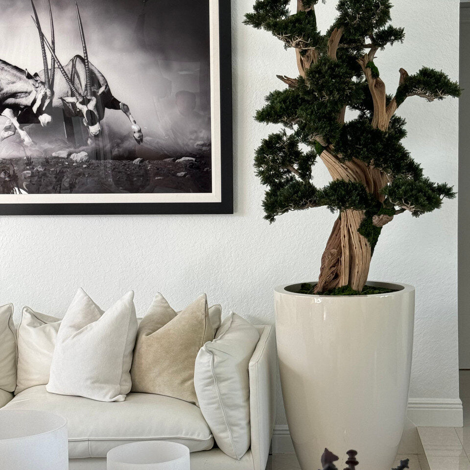 Bonsai planta artificial