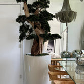Bonsai planta artificial