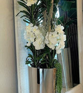 blanco Vandas en Stainless Steel Cone en el macetero