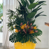 Plantas Tropical Mix en Amarillo Globe y Macetero