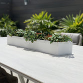 Sukkulente planta artificial