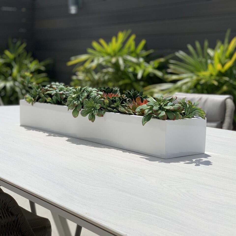 Sukkulente planta artificial
