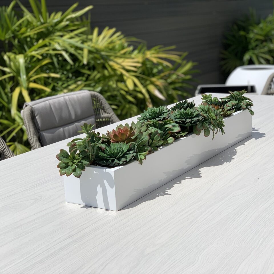 Sukkulente planta artificial