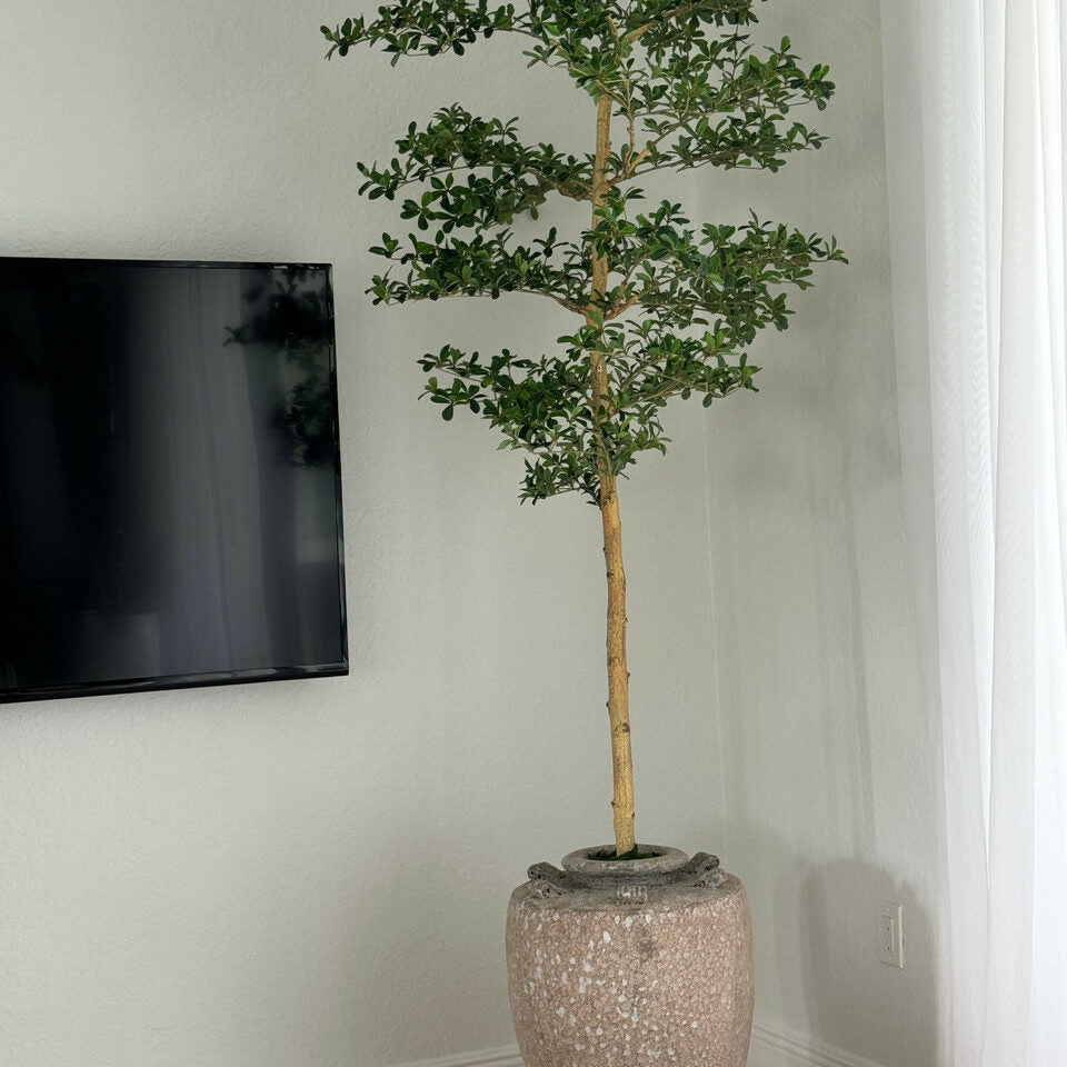 Olivo artificial “Shady Lady” en macetero Parthenon