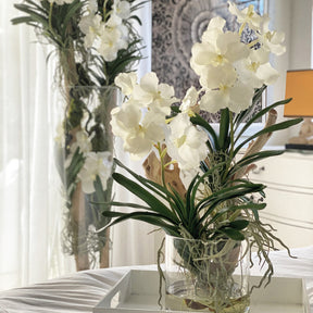 Orchidee planta artificial