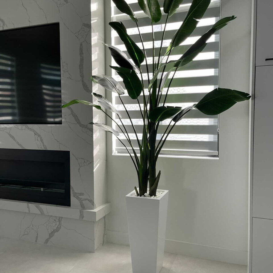 Mittel Beau macetero en brillante blanco Paradiesvogelblume