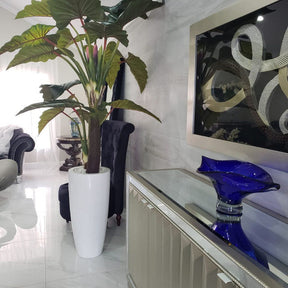 rojo Prince Alocasia en Dax L brillante blanco en el macetero