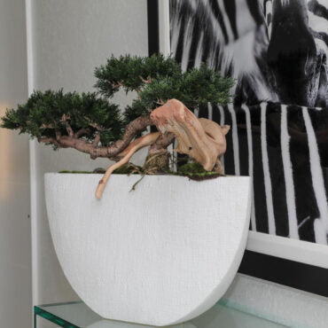 Bonsai planta artificial