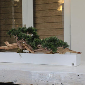 Bonsai planta artificial