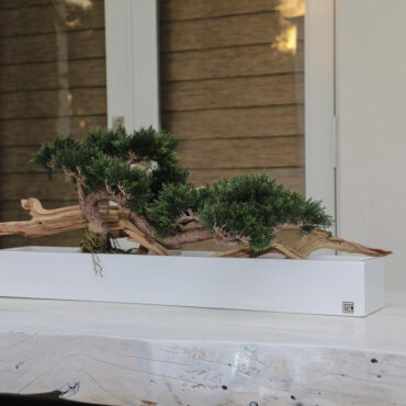 Bonsai planta artificial