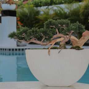 Bonsai planta artificial