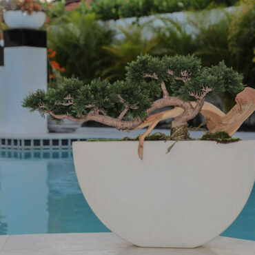 Bonsai planta artificial