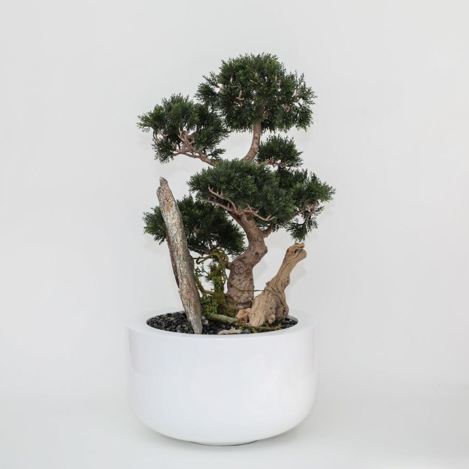 Bonsai planta artificial