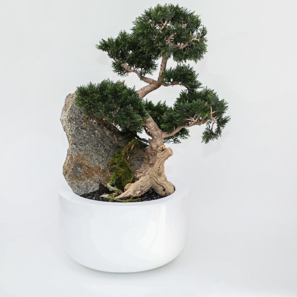 Bonsai planta artificial