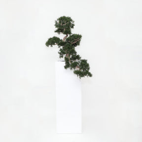 Bonsai planta artificial