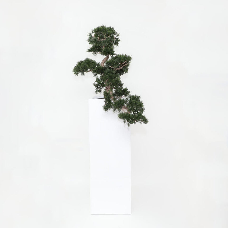 Bonsai planta artificial