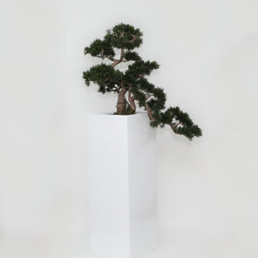 Bonsai planta artificial