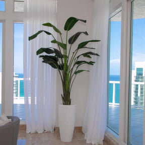 Xl Dax macetero en el 9 Ft Paradiesvogelblume