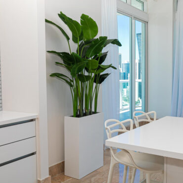 Jort Slim Mittel macetero en brillante blanco Paradiesvogelblume
