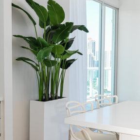 Jort Slim Mittel macetero en brillante blanco Paradiesvogelblume