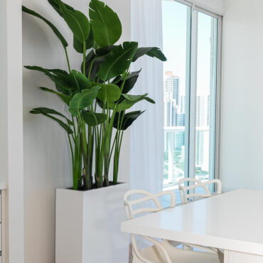Jort Slim Mittel macetero en brillante blanco Paradiesvogelblume
