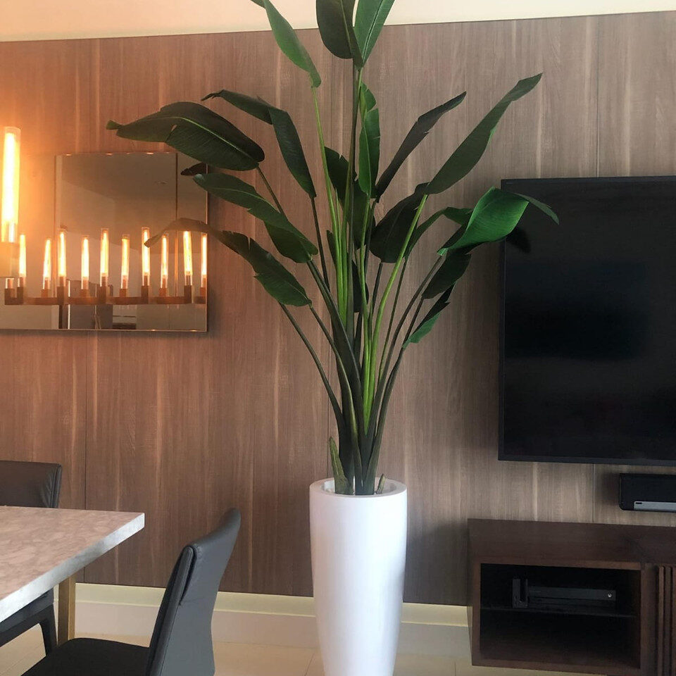Groß Dax macetero en brillante blanco en el 9 Ft Paradiesvogelblume