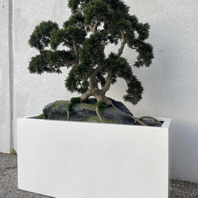 Bonsai planta artificial