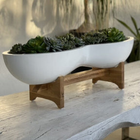 Sukkulente planta artificial