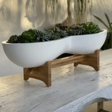 Sukkulente planta artificial
