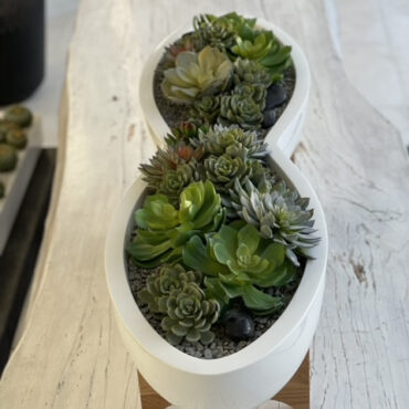 Sukkulente planta artificial