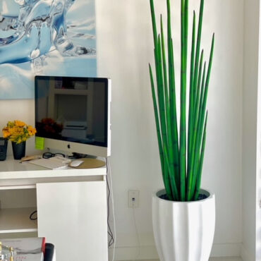 Ziergras planta artificial