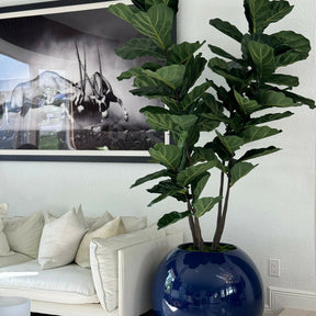 árbol de hoja de violín azul Globe macetero