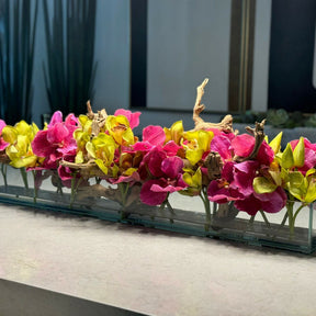 Rosa Vandas y Grün Cymbidiums en el Casa Moderna vidrio macetero